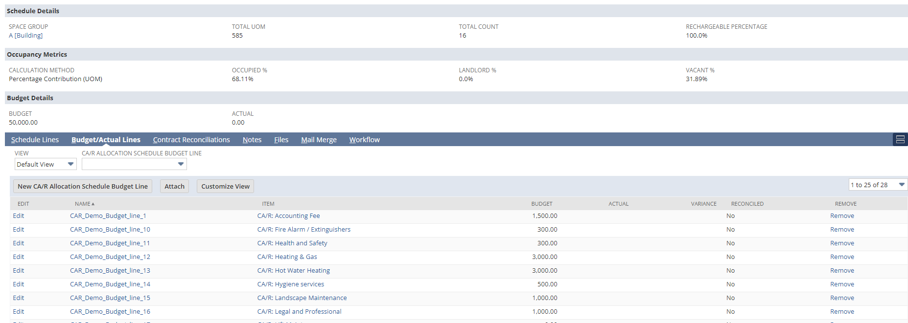 Cost-Allocation-Budget-Screen-Shot